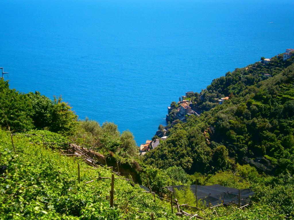 Villa En Rose Ravello Zimmer foto